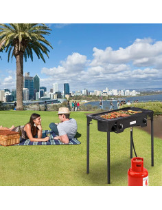 Estufa de Gas Propano ROVSUN 2 Quemadores 150,000 BTU 2