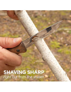 Cuchillo Bushcraft BPS Knives BS3 CSH - Acero al carbono 21.5 cm 2