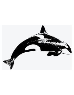 Tatuaje Temporal Inkbox Adria Orca 7.62x7.62cm Resistente