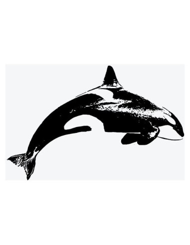 Tatuaje Temporal Inkbox Adria Orca 7.62x7.62cm Resistente