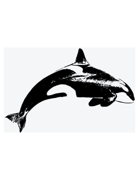 Tatuaje Temporal Inkbox Adria Orca 7.62x7.62cm Resistente