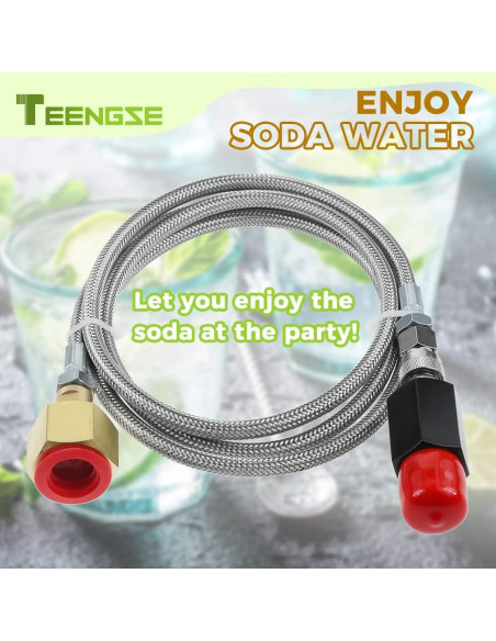 Manguera Adaptadora CO2 TEENGSE 152.4cm Acero Inoxidable