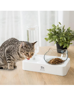 Juego de Tazones Elevados para Gatos y Perros Marchul 0.5L 2