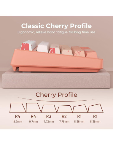 Conjunto de Teclas Mecánicas GMKWTL PBT Flores de Cerezo 132 Teclas