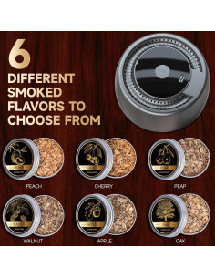 Kit de Ahumador Eléctrico Parquix con 6 Astillas de Madera 2