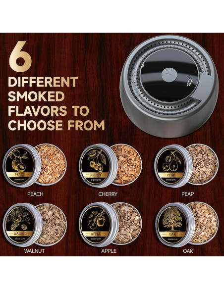 Kit de Ahumador Eléctrico Parquix con 6 Astillas de Madera