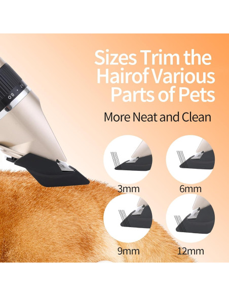 Kit Afeitadora para Perros Aovdy Oro - Tijeras y Cuchilla