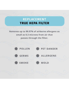 Filtros de Reemplazo HEPA-Tipo Homedics TotalClean - 2 Unidades 2