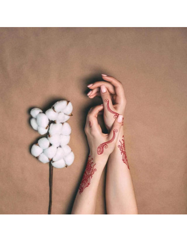 Calcomanías de Tatuaje de Henna Xmasir 12 Hojas Rojas y Negras