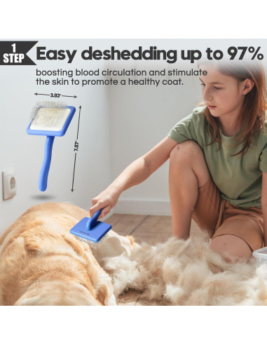 Kit de Aseo para Perros Bonteck 4PCS - Cepillo Slicker Azul