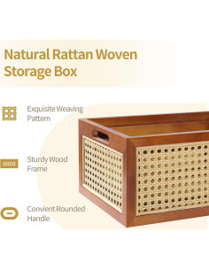 Cesta de Almacenamiento de Mimbre LaMorée 30x20x13 cm Bohemia 2