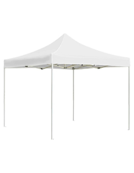 Carpa Plegable Neolun 2.99m x 2.99m Impermeable para Eventos