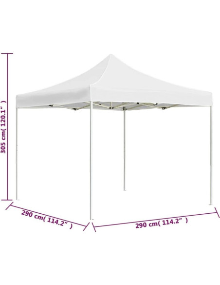 Carpa Plegable Neolun 2.99m x 2.99m Impermeable para Eventos