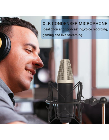 Micrófono de Condensador XLR SUUNTOK BM6000 Cardioide Profesional