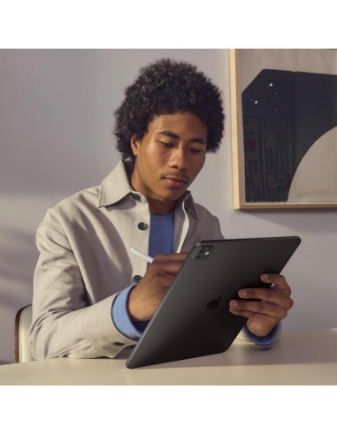 Apple iPad Pro 13" M4 1TB Wi-Fi Plata Nano-textura