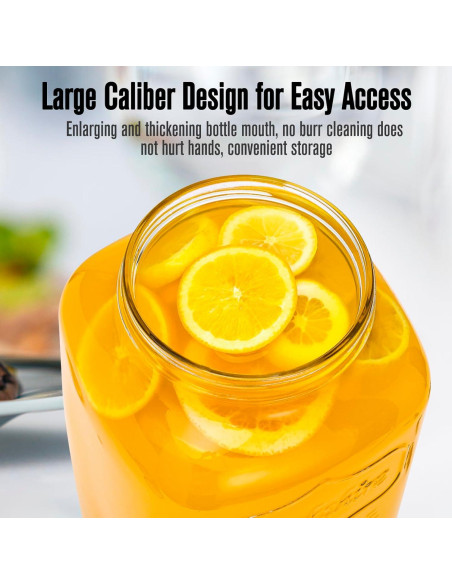 Dispensador de Bebidas de Vidrio MAHOOMMAKH 3.785L Doble con Soporte