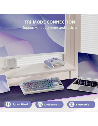 Teclado Mecánico Inalámbrico RK Royal Kludge M65 Azul 60%