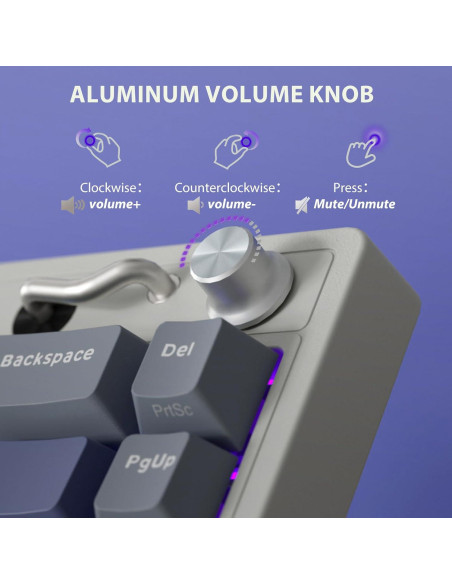 Teclado Mecánico Inalámbrico RK Royal Kludge M65 Azul 60%