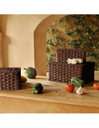 Cestas de Mimbre con Tapa GRANNY DICE - Juego de 3, Marrón