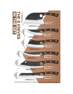 Juego de cuchillos de cocina Purple Dragon, 12 piezas, acero al carbono 2