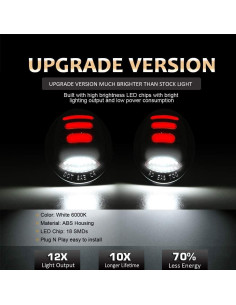 Luces de Matrícula LED D-Lumina 6000K para Ford F150 F250 2