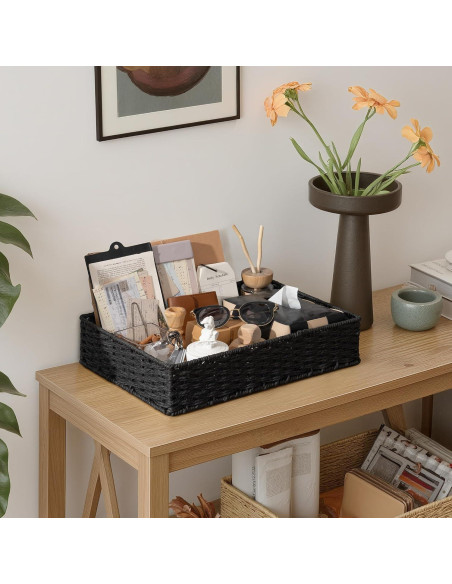 Bandeja de Tocador StorageWorks Negra 2 Piezas 40x28 cm