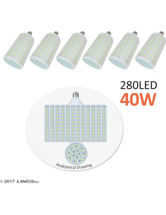 LINCO Flora LED 1680 Luz Fotográfica para Estudio AM181 2