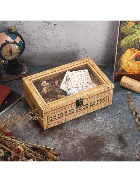 Caja de Exhibición de Ratán Hipiwe con Tapa Transparente 28x18x10cm