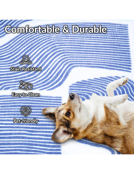 Alfombra de Jardín Zen ODIKA 152x91 cm Antideslizante Azul