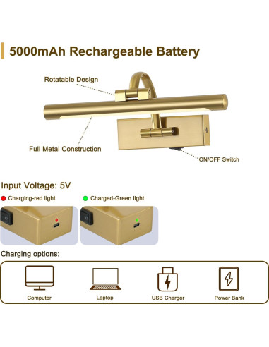Luz de Imagen Inalámbrica Recargable DESOOP 30.48 cm Bronce