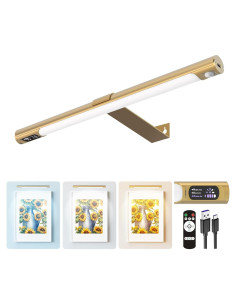 Luz de Imagen Inalámbrica COLIJOY C761 35.56cm con Control Remoto