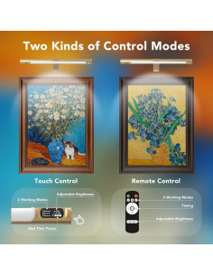 Luz de Imagen Inalámbrica COLIJOY C761 35.56cm con Control Remoto 2