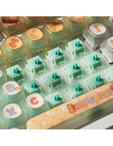 Interruptores Mecánicos Akko Botany 45pcs Lineales Prelubricados