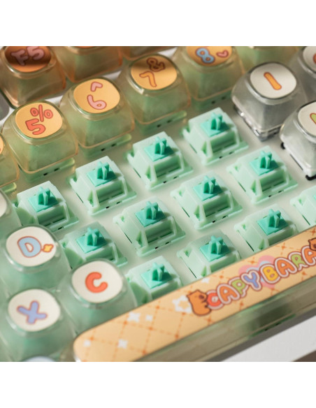 Interruptores Mecánicos Akko Botany 45pcs Lineales Prelubricados