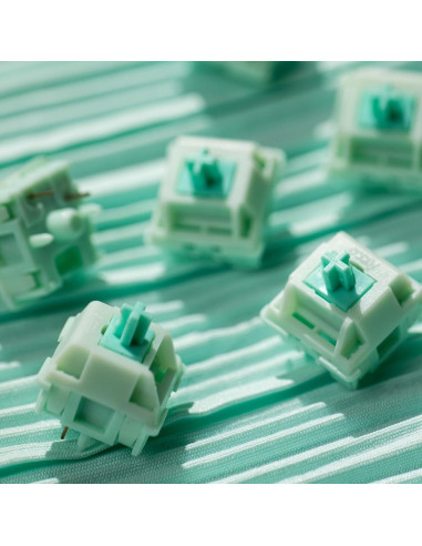 Interruptores Mecánicos Akko Botany 45pcs Lineales Prelubricados