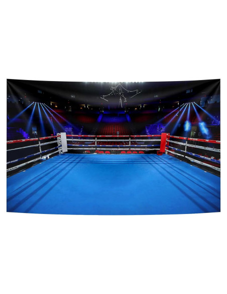 Telón de Fondo de Fotografía Update 300x210cm Boxeo