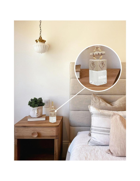 Ambientador de Aire para Automóvil Ikeda Coco 45 Días Ambientador de Aire para Automóvil Ikeda Coco 45 Días