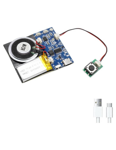 Módulo de Sonido XLW 16MB con Altavoz y Grabación 16 Min