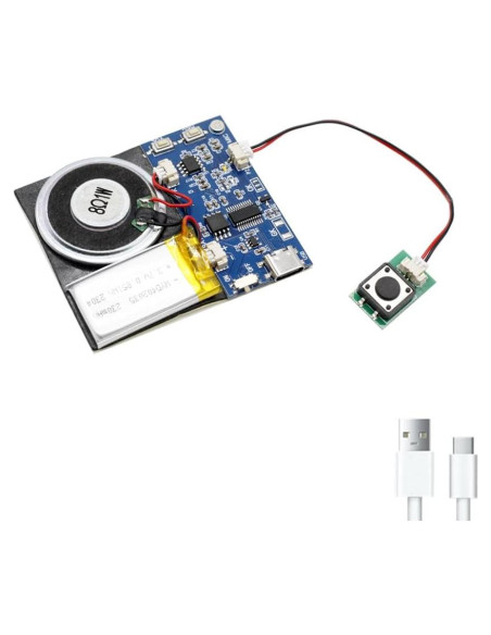 Módulo de Sonido XLW 16MB con Altavoz y Grabación 16 Min