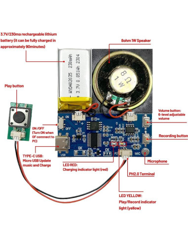 Módulo de Sonido XLW 16MB con Altavoz y Grabación 16 Min