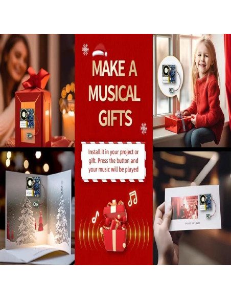 Módulo de Sonido XLW 16MB con Altavoz y Grabación 16 Min