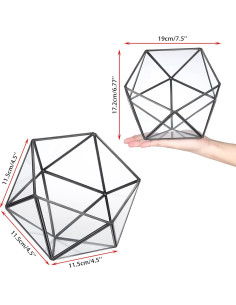 Soporte de Cápsulas de Café ELLDOO de Vidrio Negro 21x18x18 cm 2