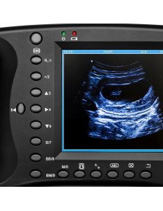 Máquina de Ultrasonido Veterinario DVK Sonda Mecánica 3.5 MHz 2