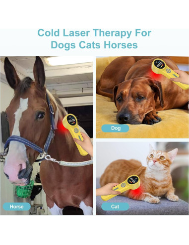 Dispositivo de Terapia Láser Frío MBBQNN para Mascotas 660nm 810nm 980nm