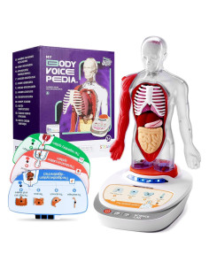 Modelo del Cuerpo Humano Science Can para Niños 5-7 Años