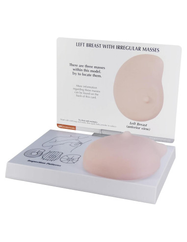 Modelo de Anatomía Humana de Mama Izquierda GPI Anatomicals