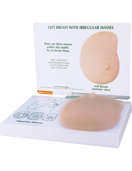 Modelo de Anatomía Humana de Mama Izquierda GPI Anatomicals