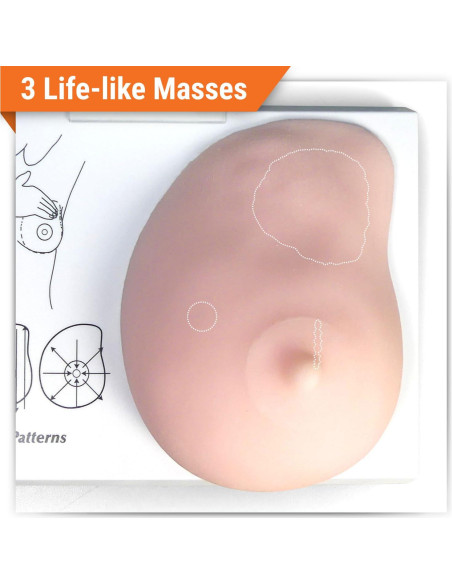 Modelo de Anatomía Humana de Mama Izquierda GPI Anatomicals