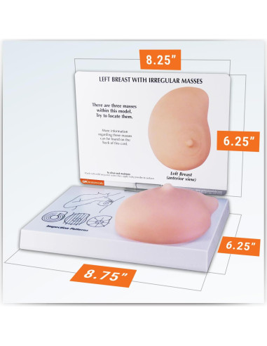 Modelo de Anatomía Humana de Mama Izquierda GPI Anatomicals