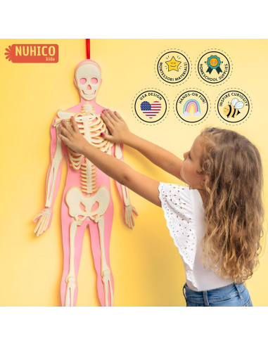 Modelo de Anatomía Humana Hebei 90.2 cm 30 Piezas Educativo